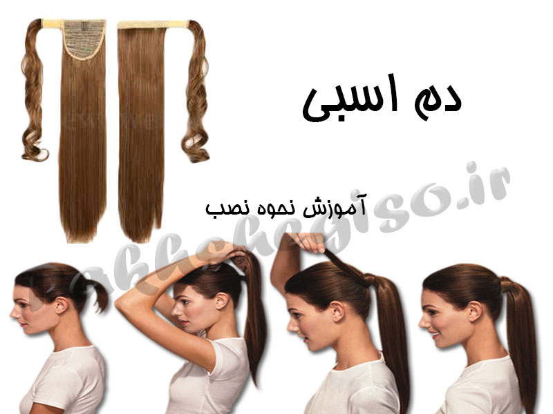دم اسبی
